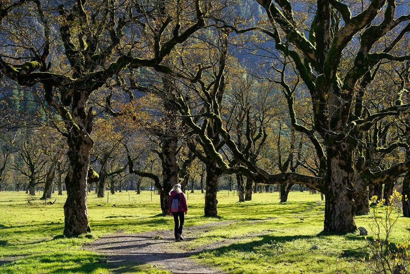 Nature Walk
