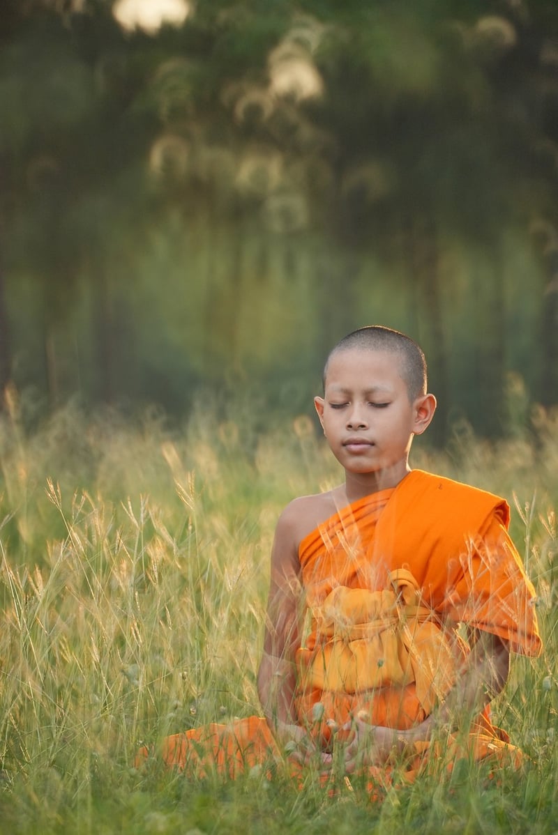 Meditation and Spiritual Awakening